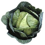 cabbage2.jpg